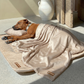 Pelsbarn Cooling Mat Bundle