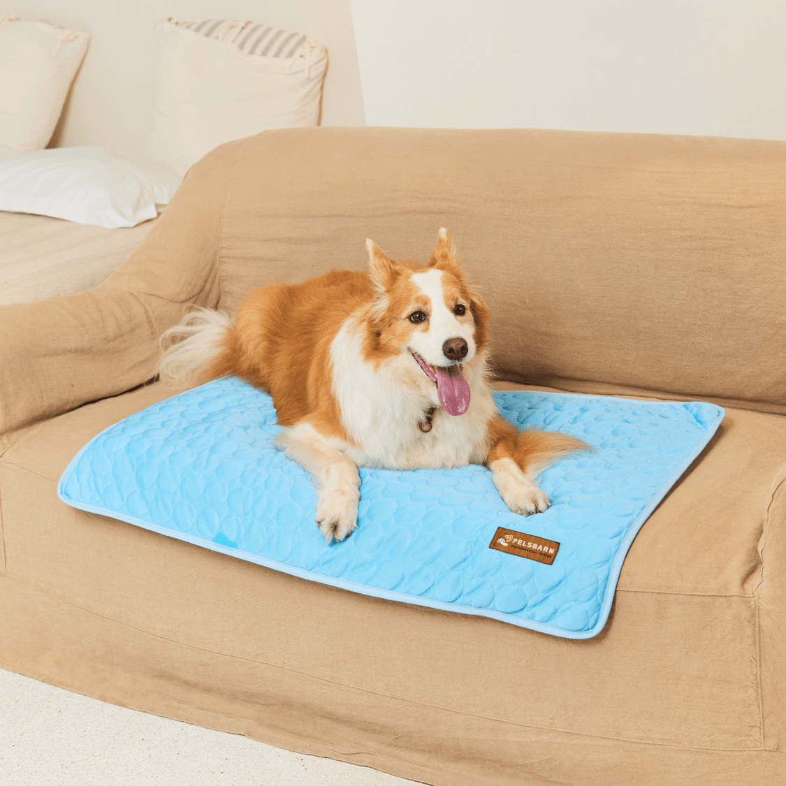 Pelsbarn Cooling Mat Bundle
