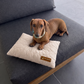 Cooling Pillow