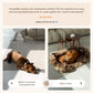 Give Your Dog the Gift of Healing Rest