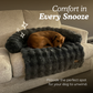 Luxurious sofa bed + luxurious cozy blanket (bundle)