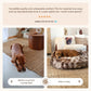 New: The Science of Canine Comfort