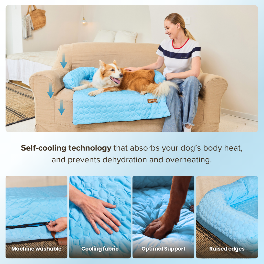 Heatrelief cooling dog bed 2.0