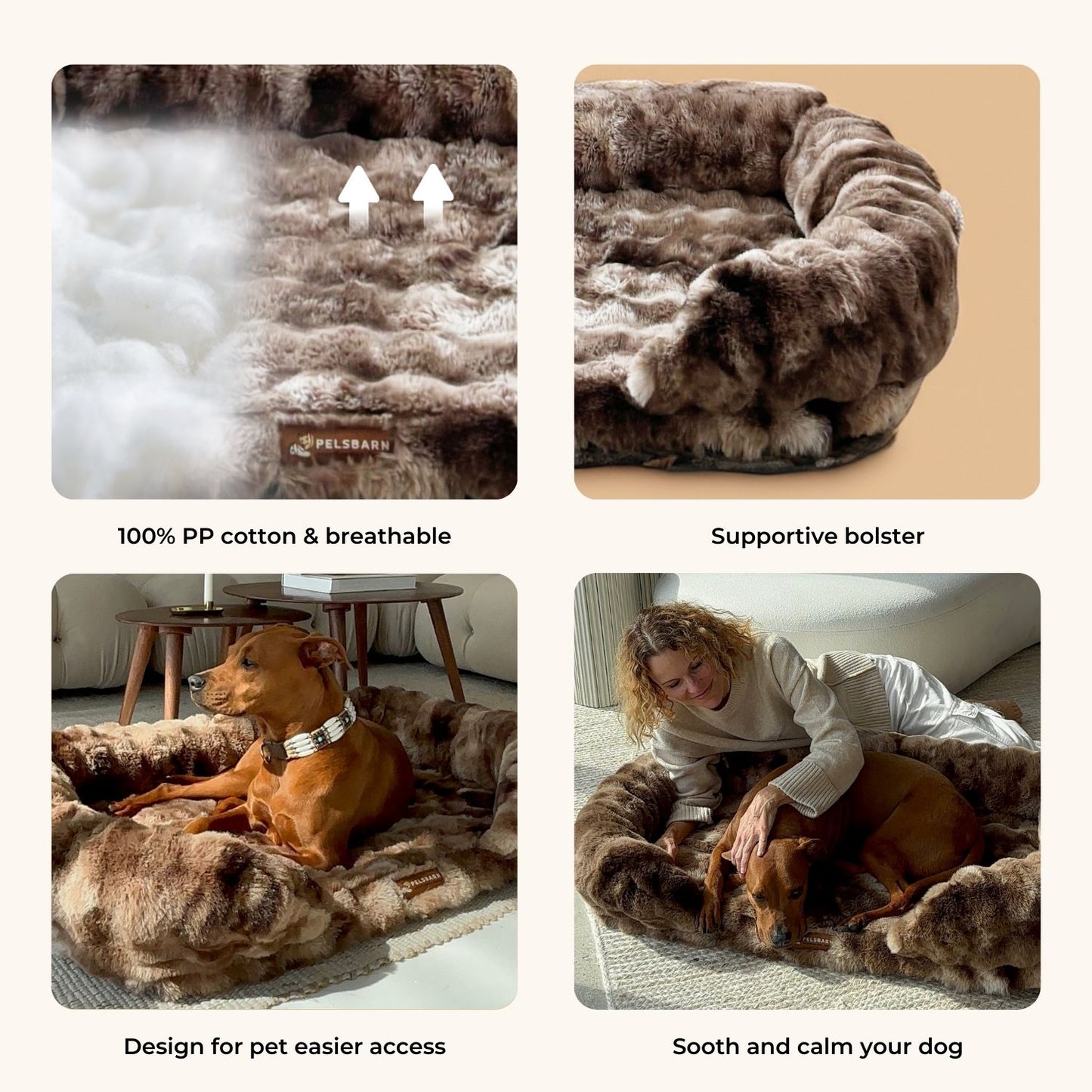 Give Your Dog the Gift of Healing Rest