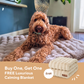 Luxurious Calming Blanket (1+1)