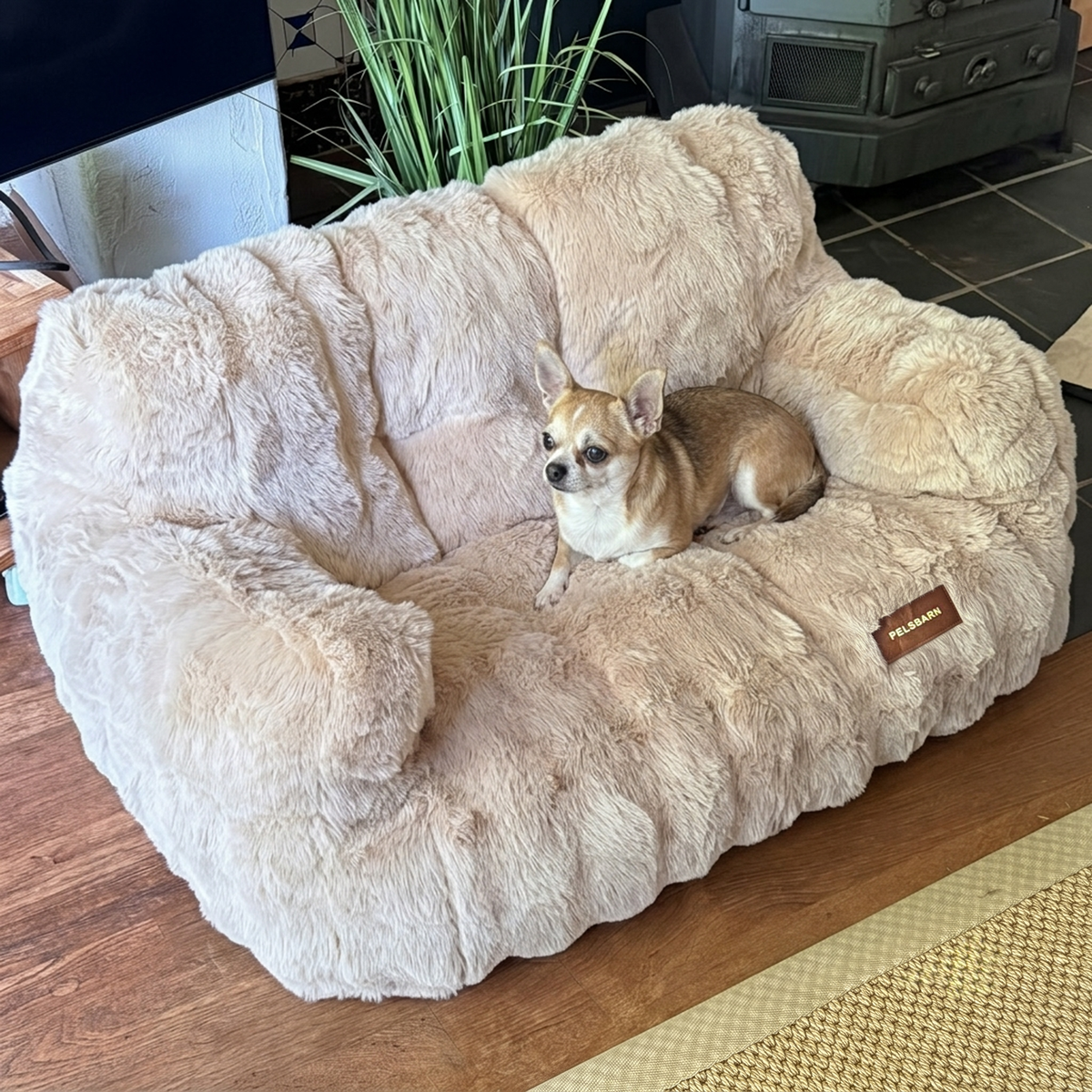 Luxurious Calming Couch
