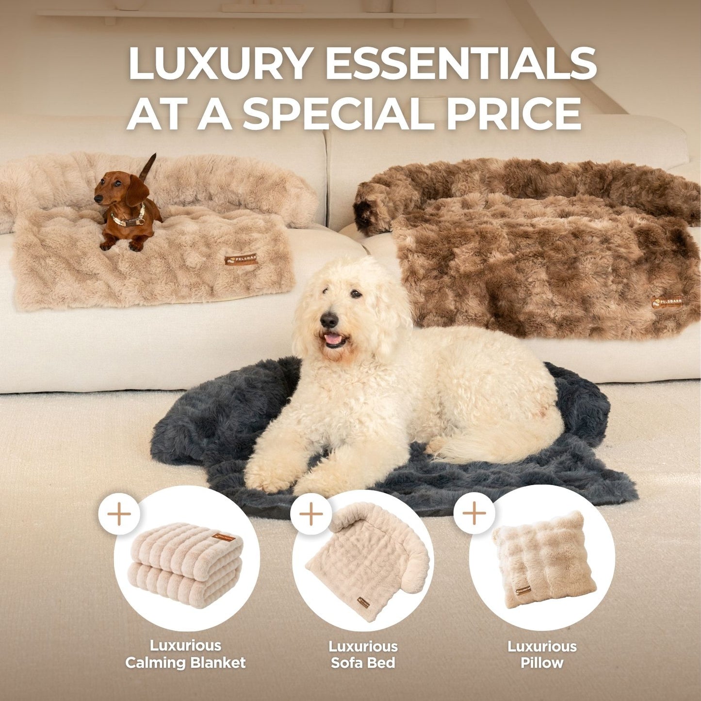 Luxurious Living Room Kit (Bed + Blanket + Pillow)