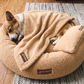 Teddy Donut Bed Bundle