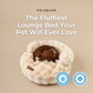 New: The Science of Canine Comfort