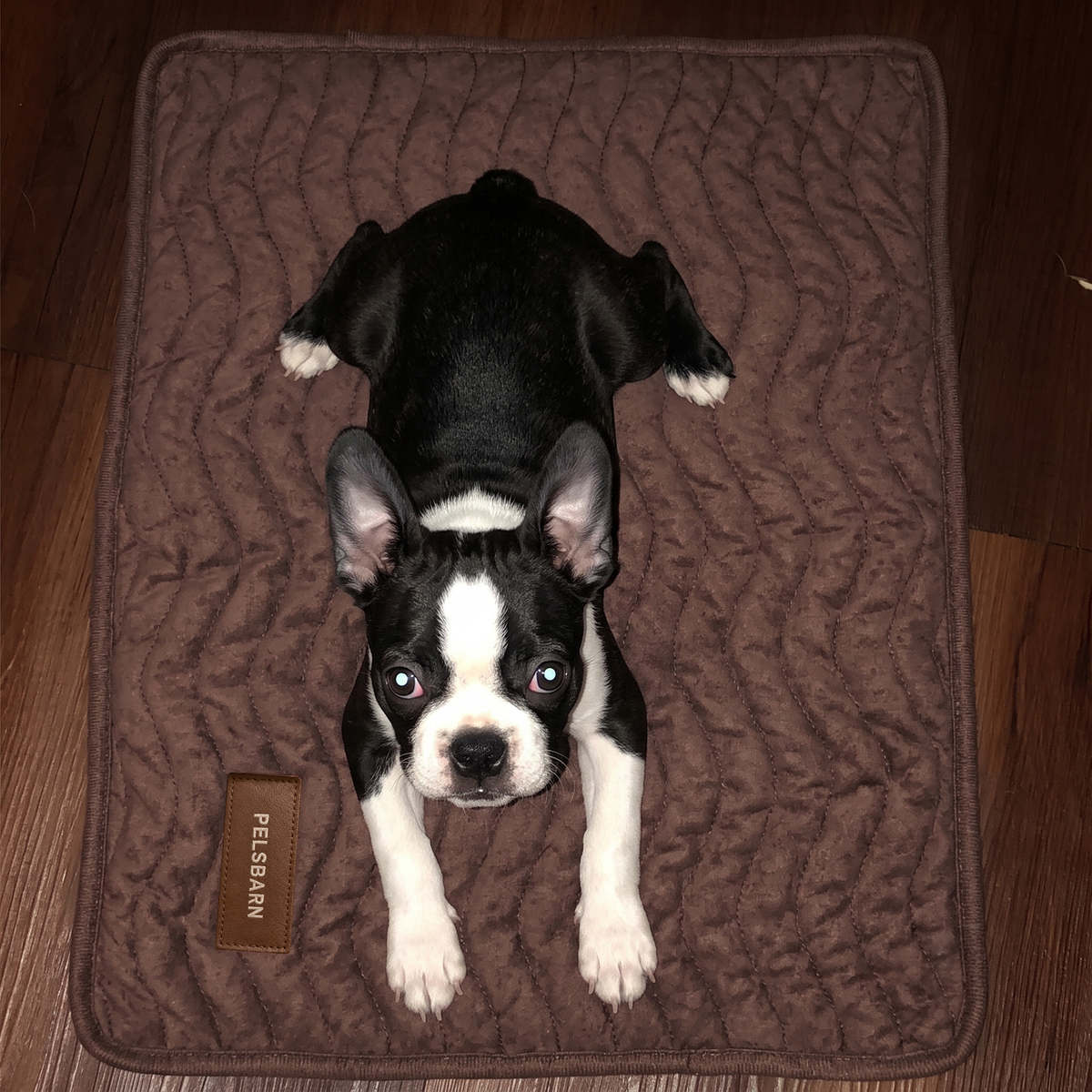 Pelsbarn Pee Mat