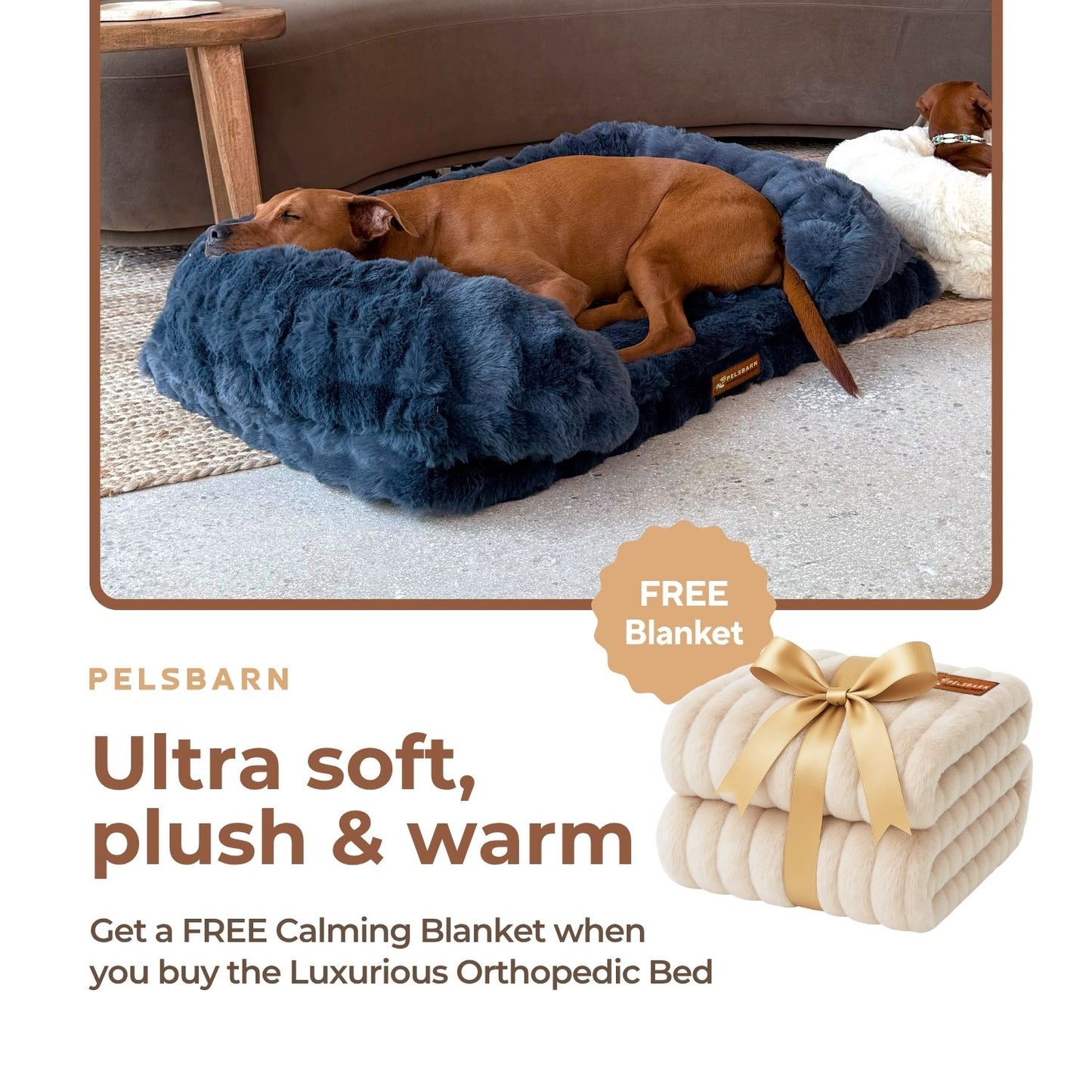 Luxurious Orthopedic Bed + FREE Luxurious Calming Blanket