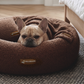 Teddy Donut Bed Bundle