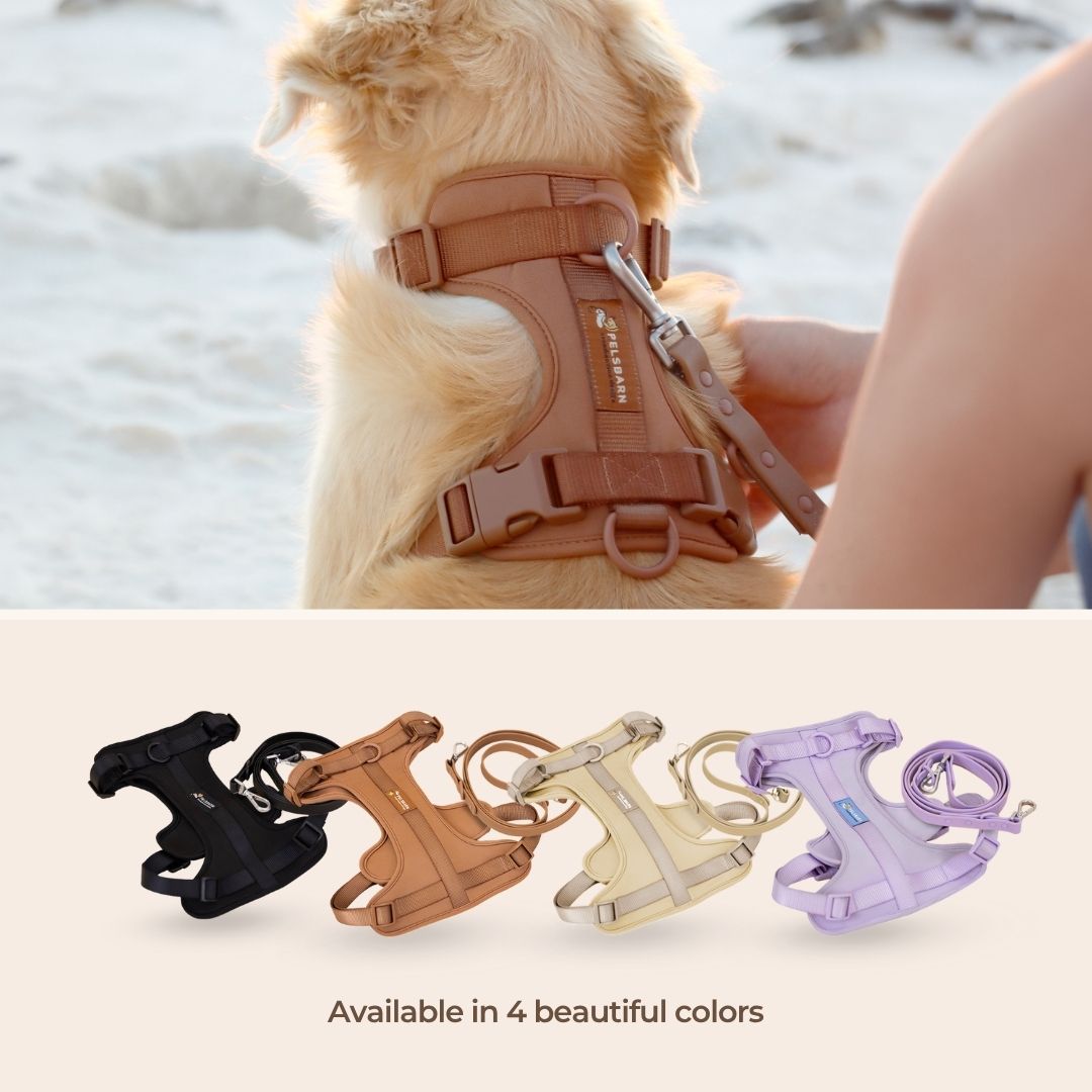 Fluffy Car Bed Travel Safety Kit