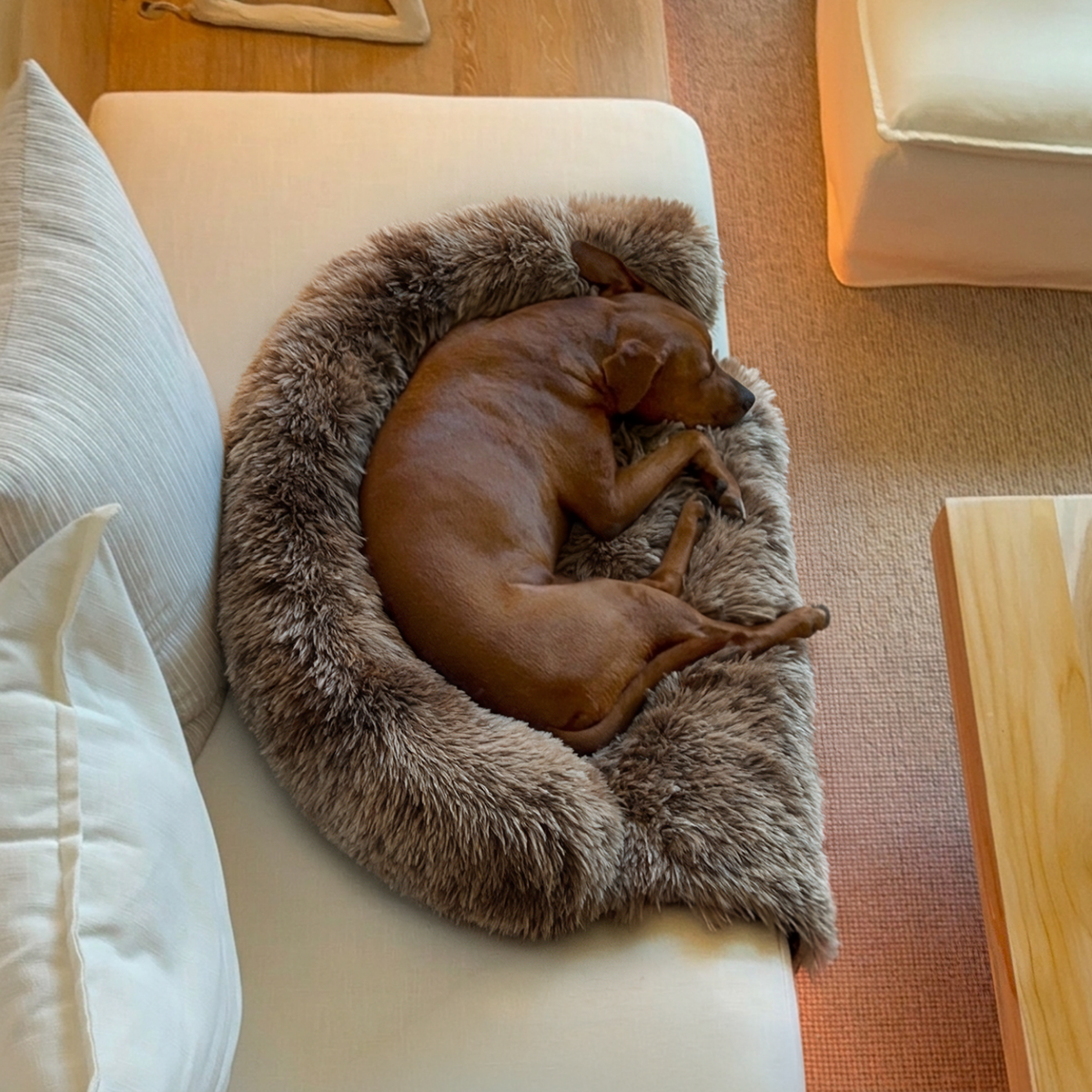 Original Calming Bed