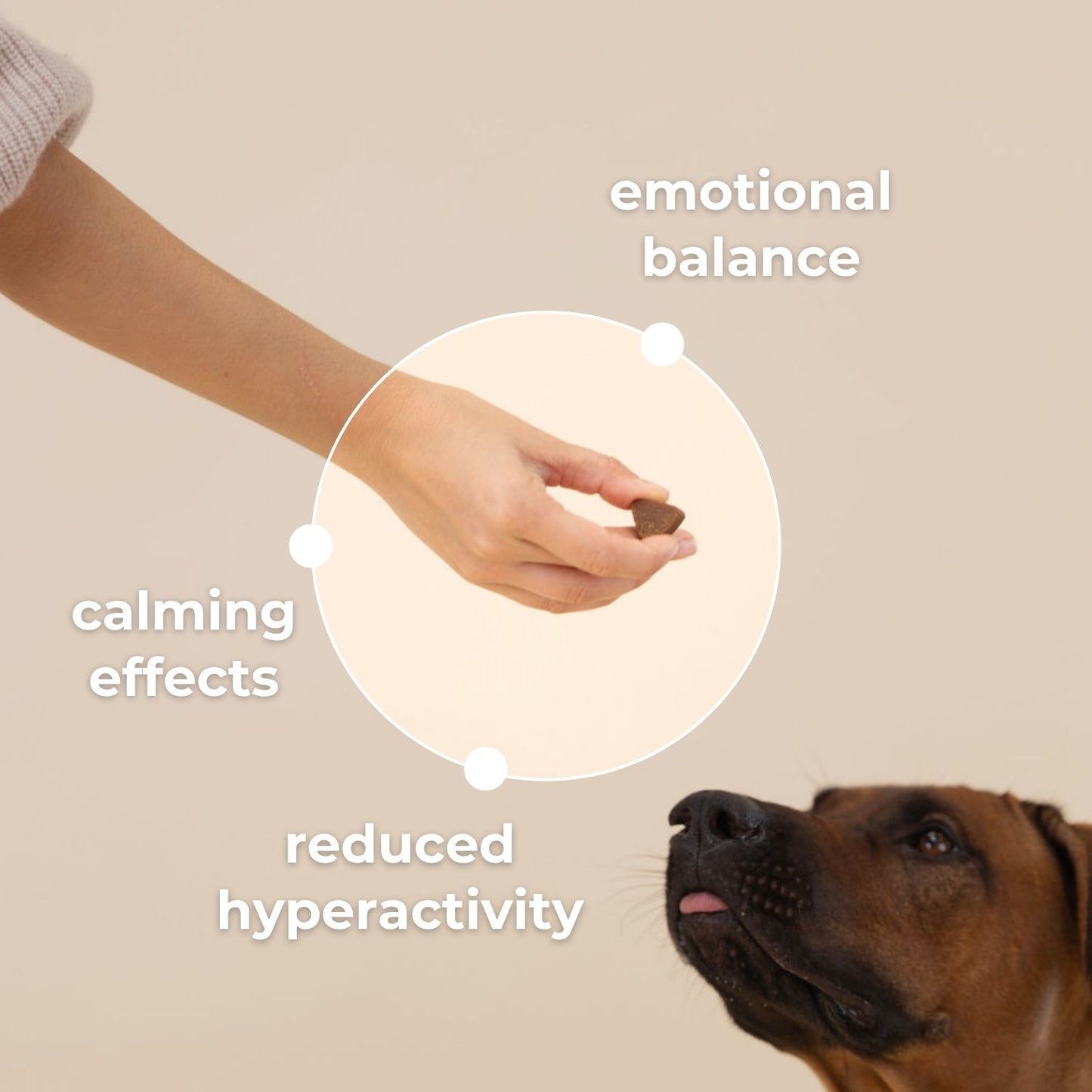 Pelsbarn Calming Chews + Free Calming Blanket