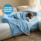 Heatrelief Cooling Dog Bed Complete Bundle