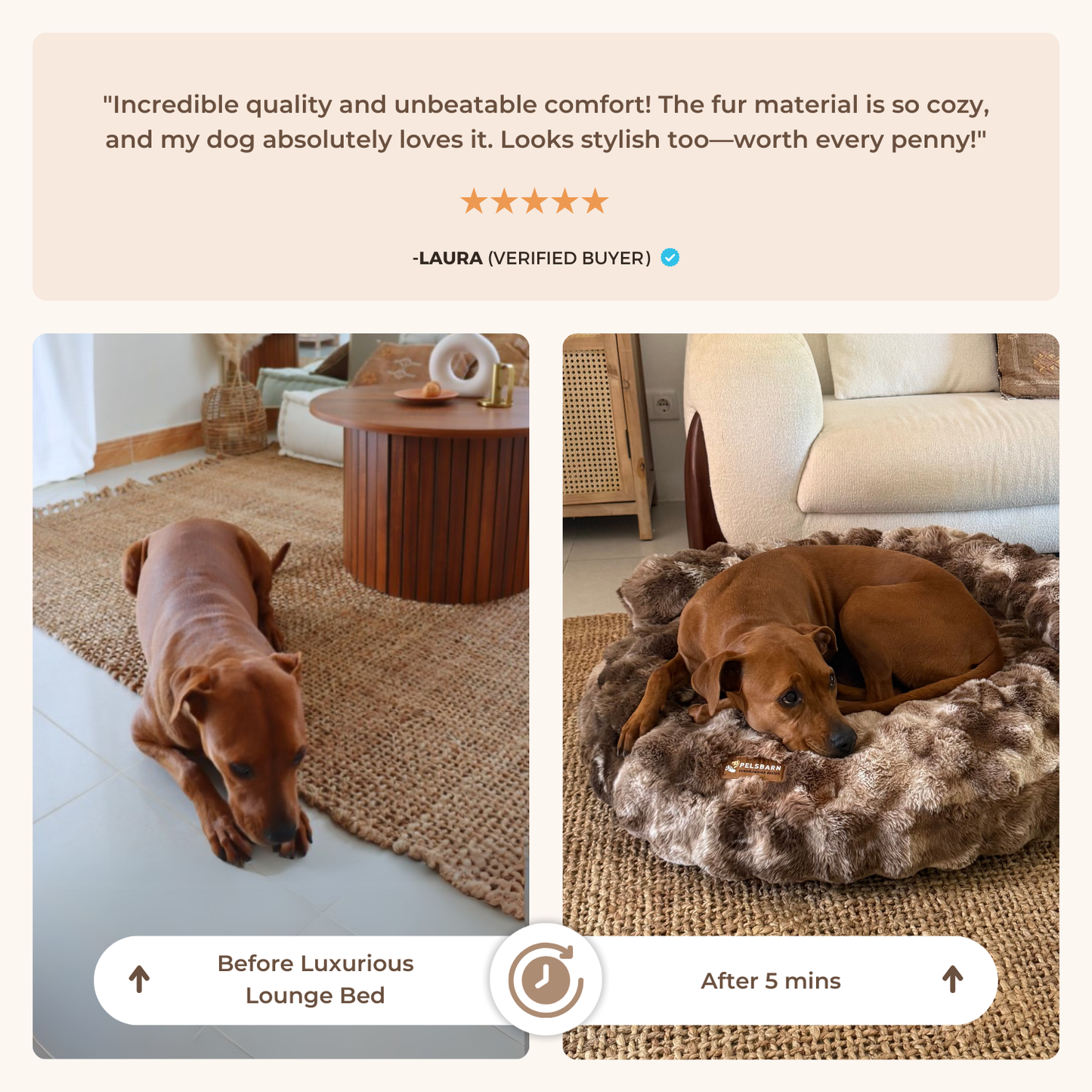 Luxurious Lounge Bed with Free Calming Blanket