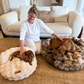 Luxurious Lounge Bed Bundle