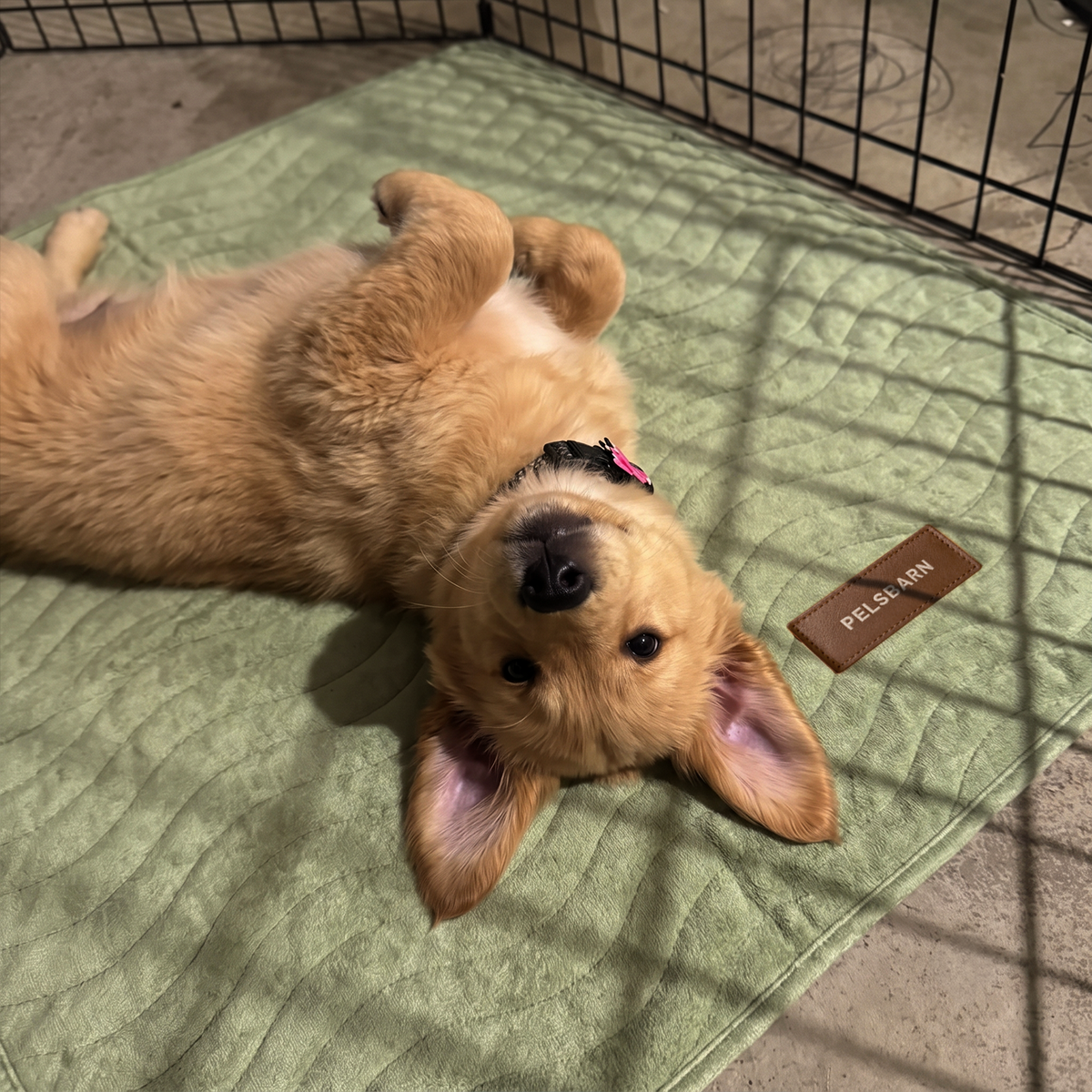 Pelsbarn Pee Mat
