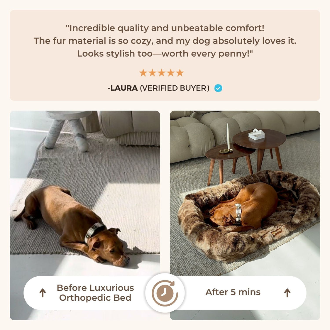 Luxurious Orthopedic Bed