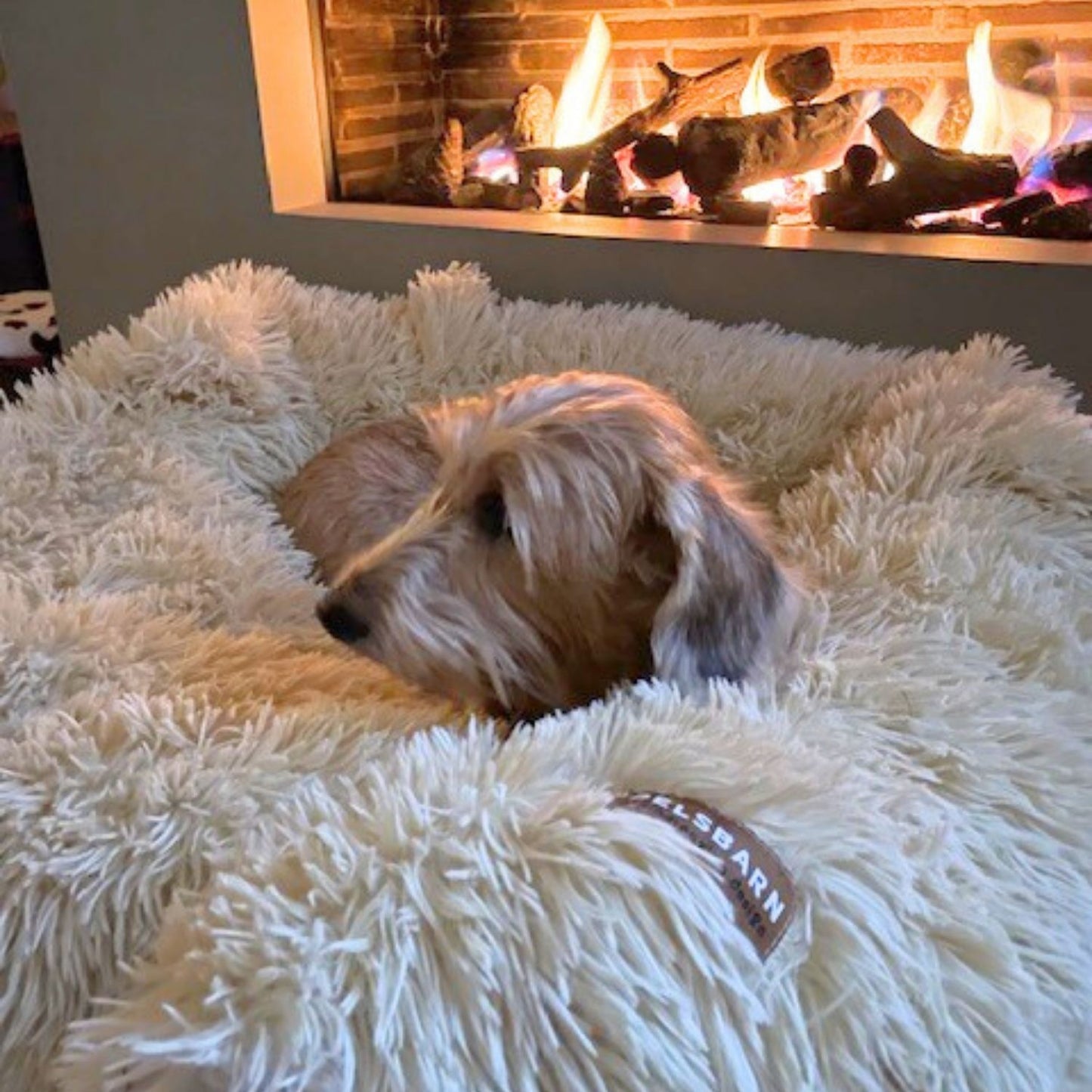 Pelsbarn Calming Chews + Free Calming Blanket
