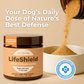 Lifeshield All-in-1 Mushroom Supplement