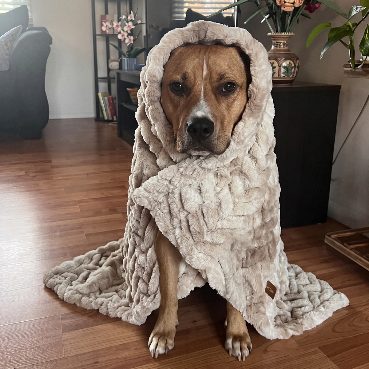 Throw Blanket