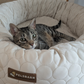 Cooling Donut Bed