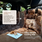 Luxurious Full Backseat Protector + Free Blue Cooling Mat