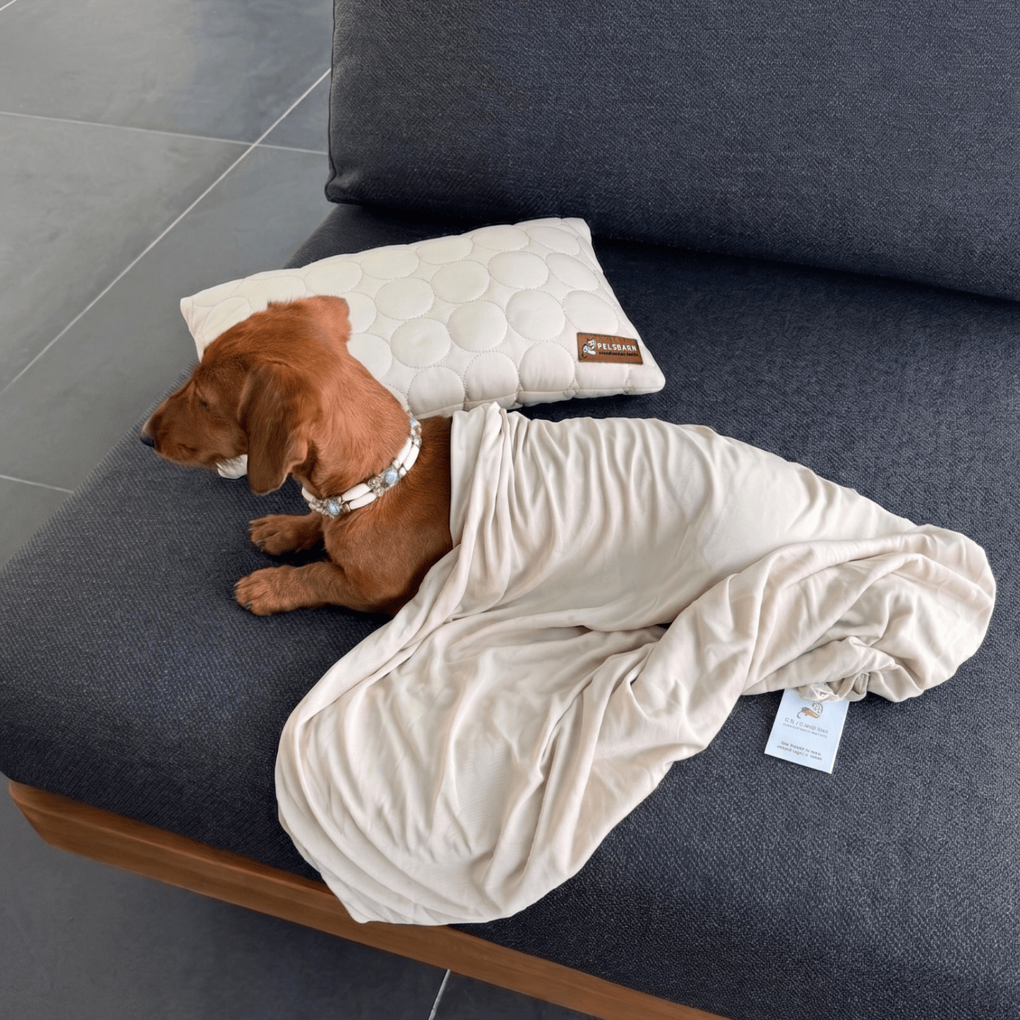 Pelsbarn Cooling Pillow & Sheet