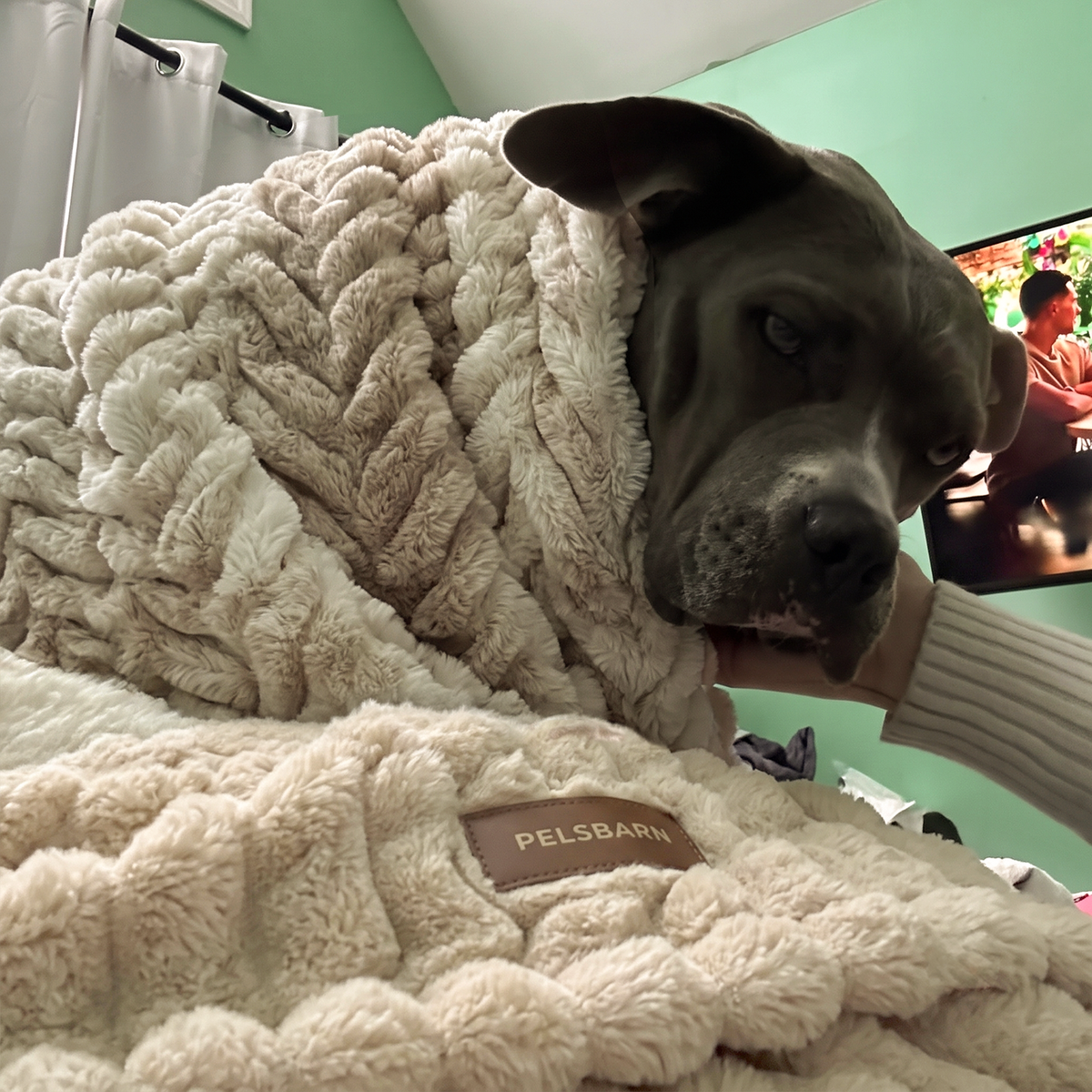 Throw Blanket