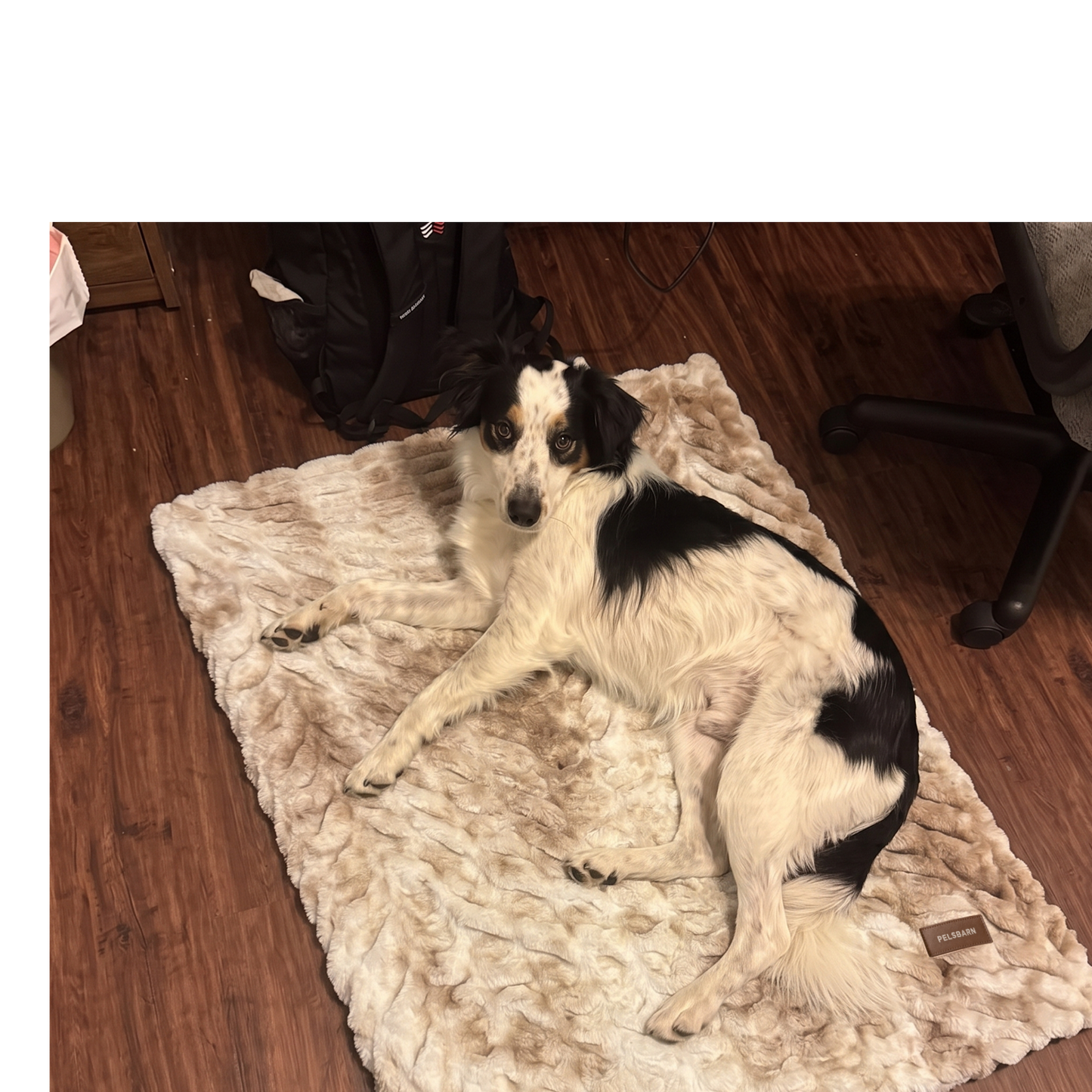 Throw Blanket