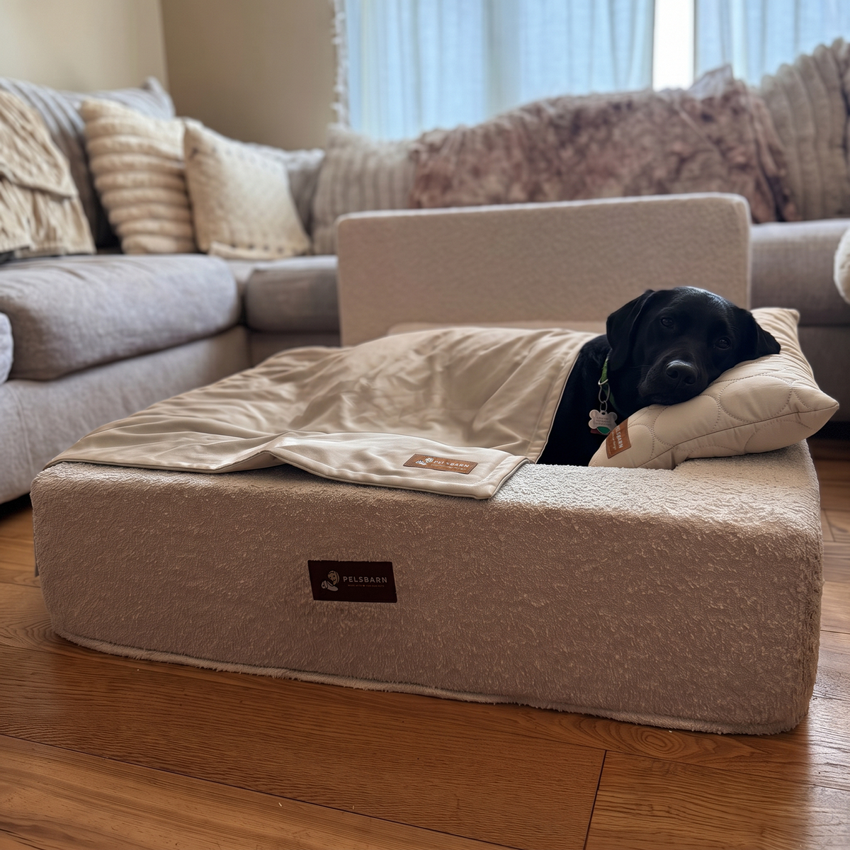 Ready for Dream Bed