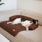 Pelsbarn Cooling Bed (4x more effective)