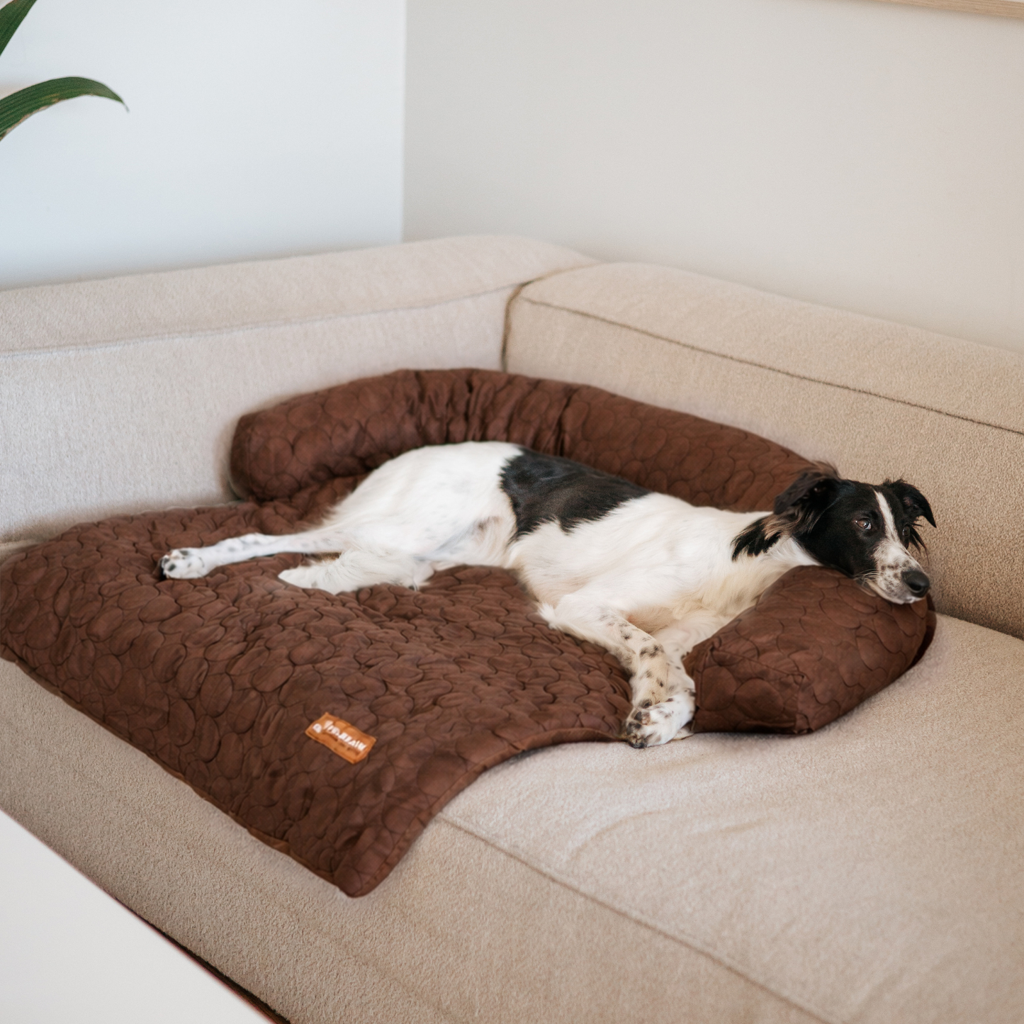 Pelsbarn Cooling Bed (4x more effective)
