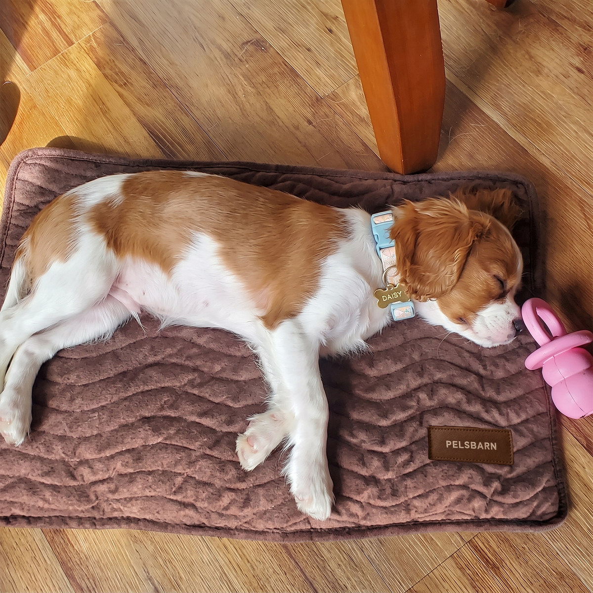 Pelsbarn Pee Mat