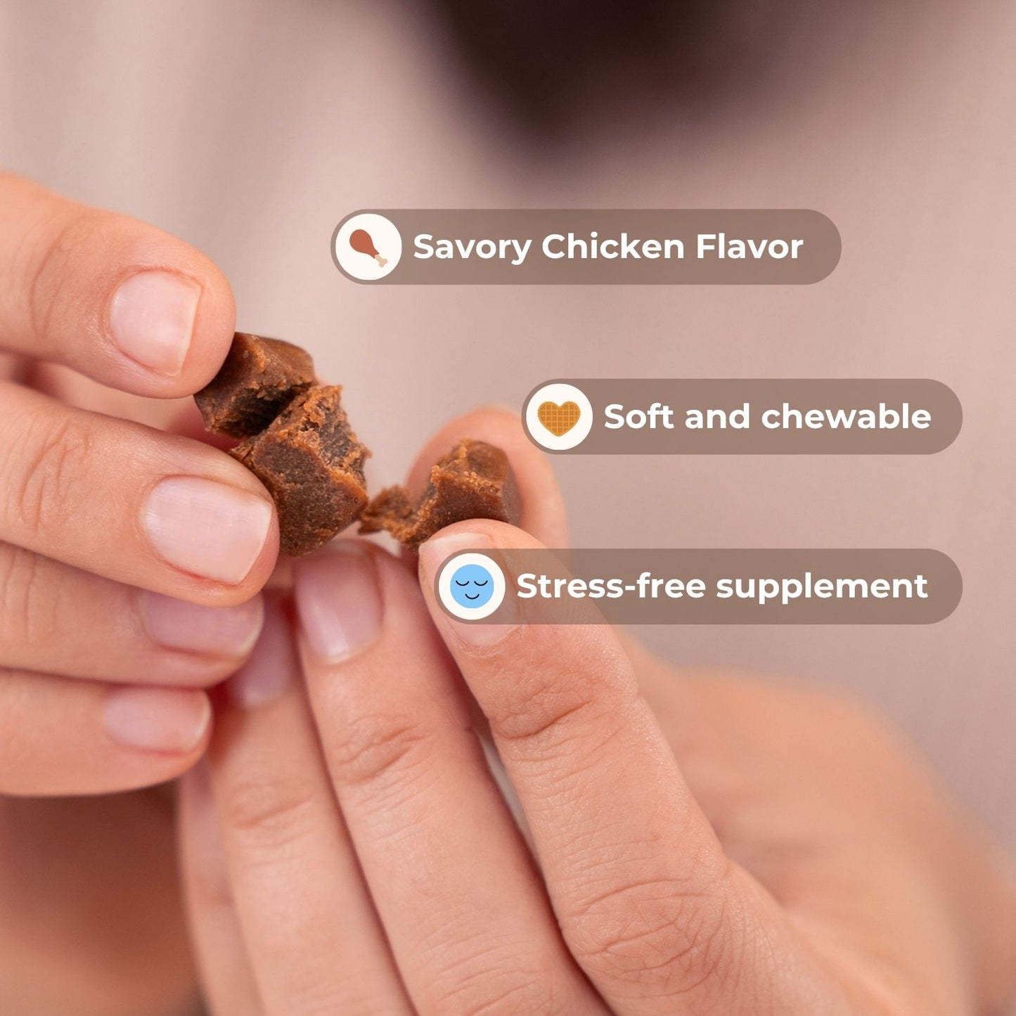 Pelsbarn Calming Chews + Free Calming Blanket