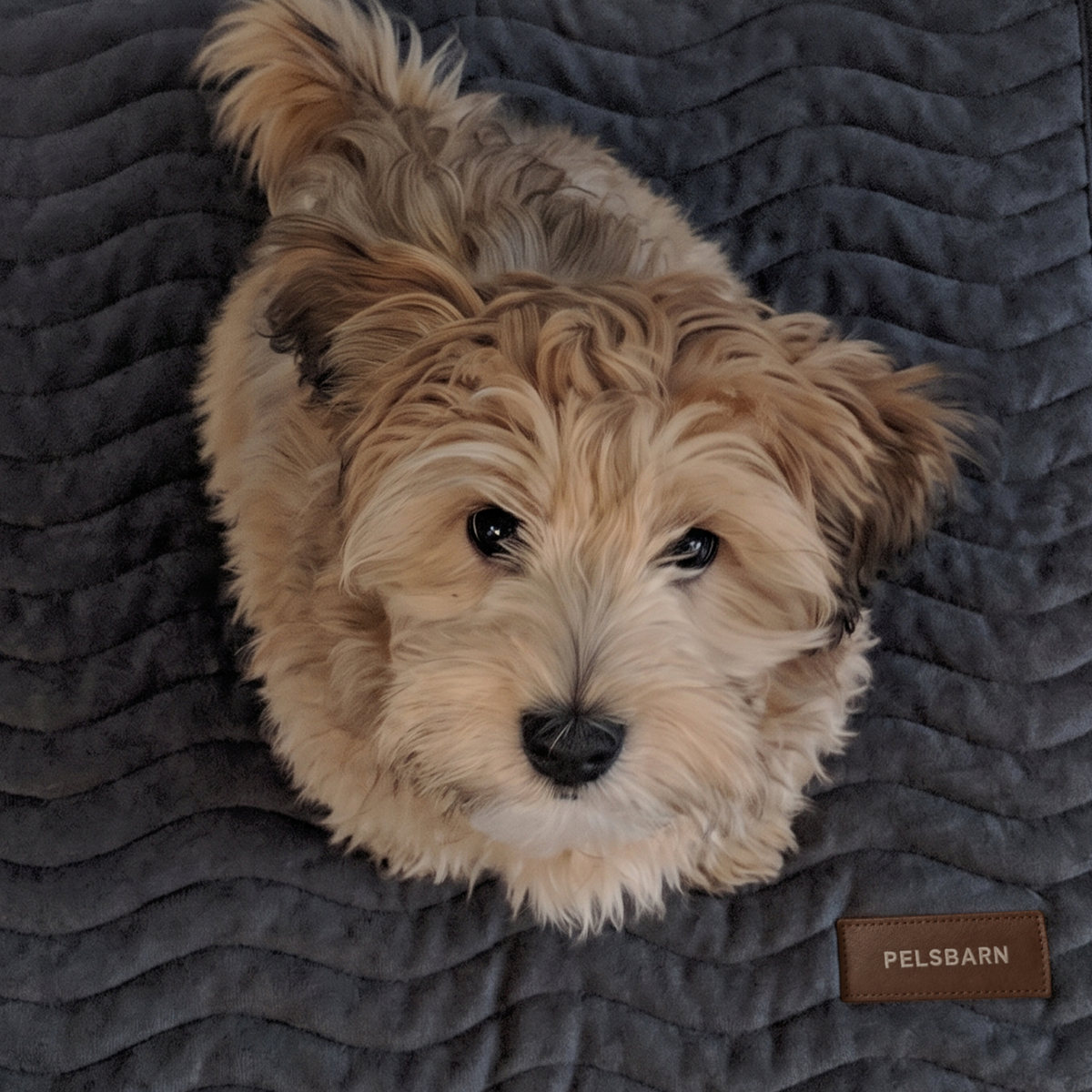 Pelsbarn Pee Mat