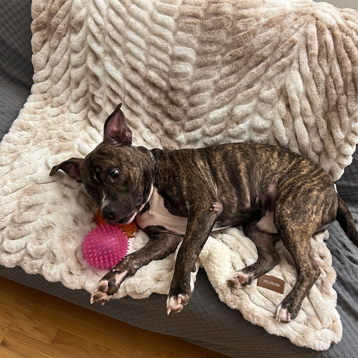 Throw Blanket