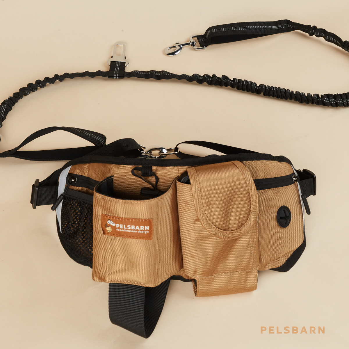 All-in-One Dog Walking Bag