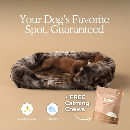 Body - Mind Support: Luxurious Orthopedic Bed + FREE calming chews