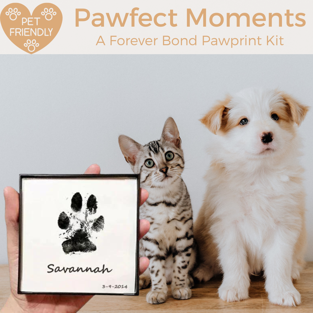 Pawfect Moments: A Forever Bond Pawprint Kit