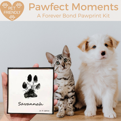 Momentos Pawfect: un kit de huellas de Forever Bond