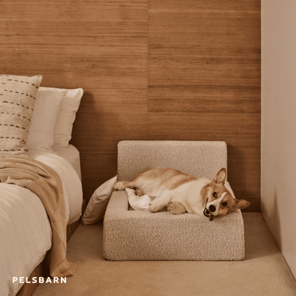 REAL orthopedic bed for dogs