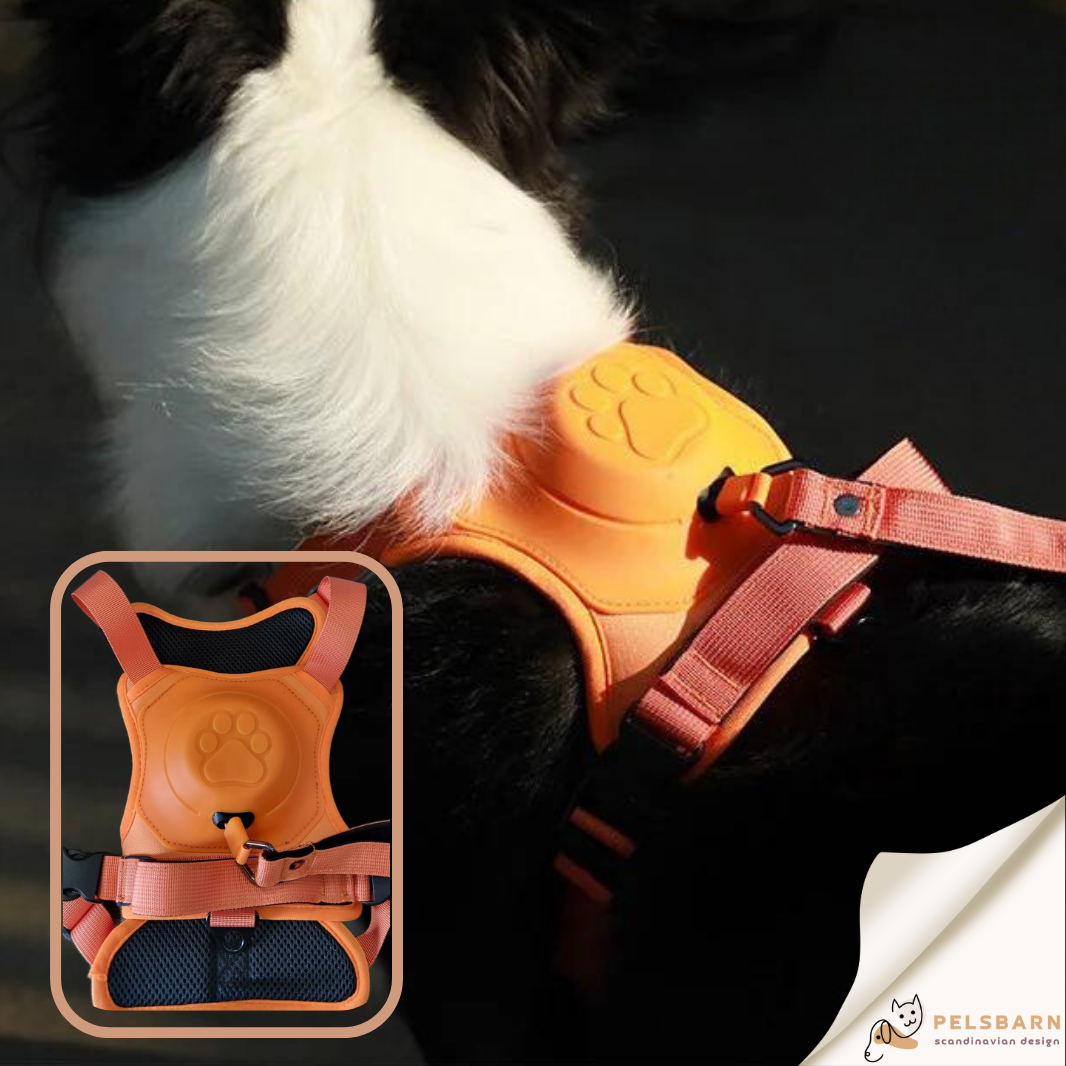 All-In-One Dog Harness & Retractable Leash