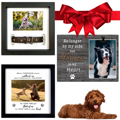 Cherished Companion Keepsakes