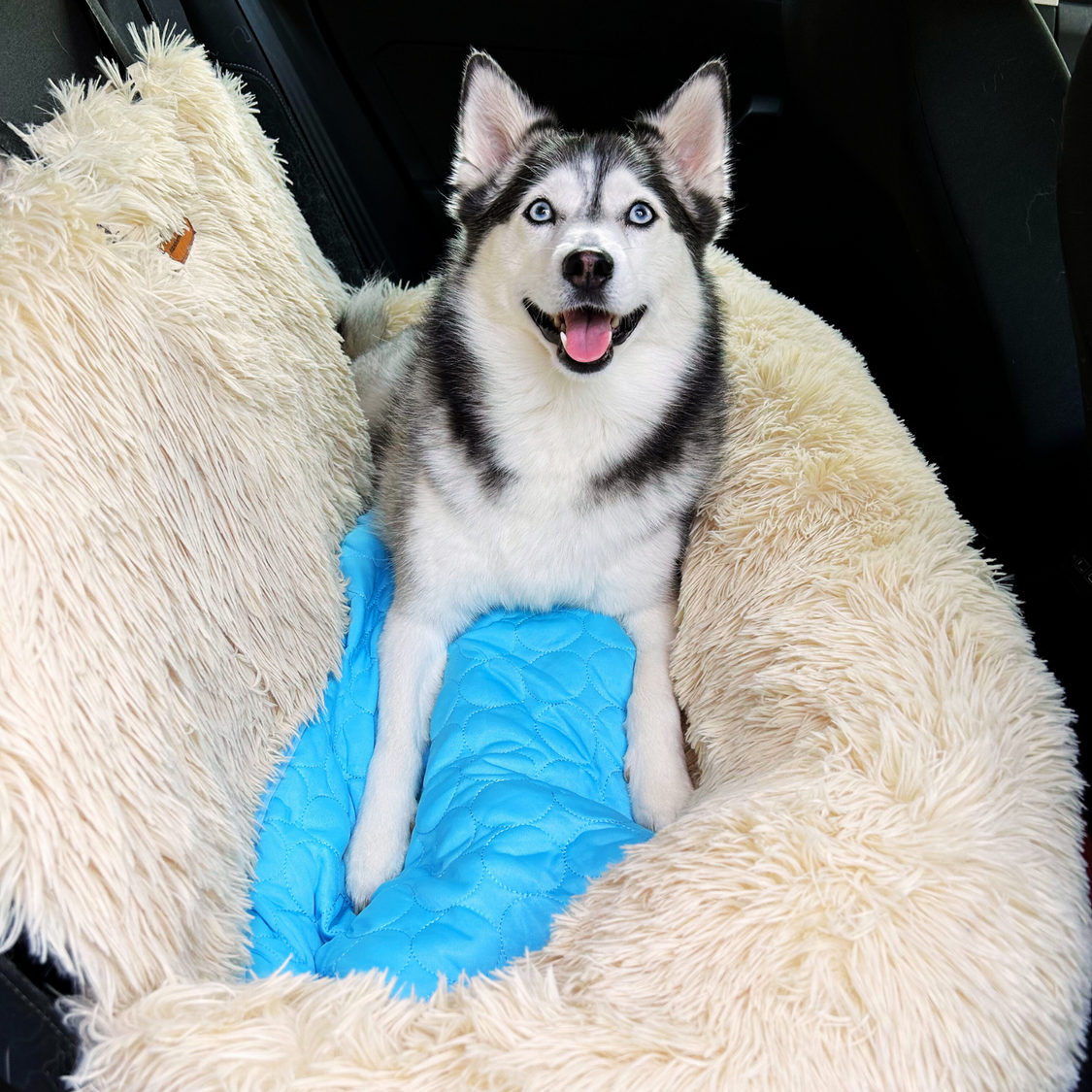 Pelsbarn Protecting Car Bed 2.0 + Free Mat