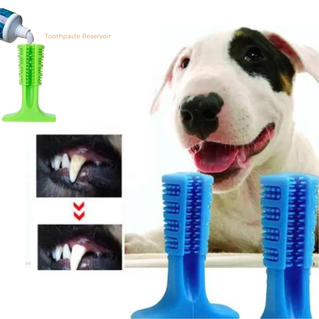 Dog Tooth Brush