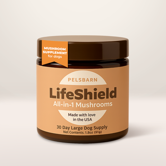 LifeShield All-in-1 'Shroom Supplement