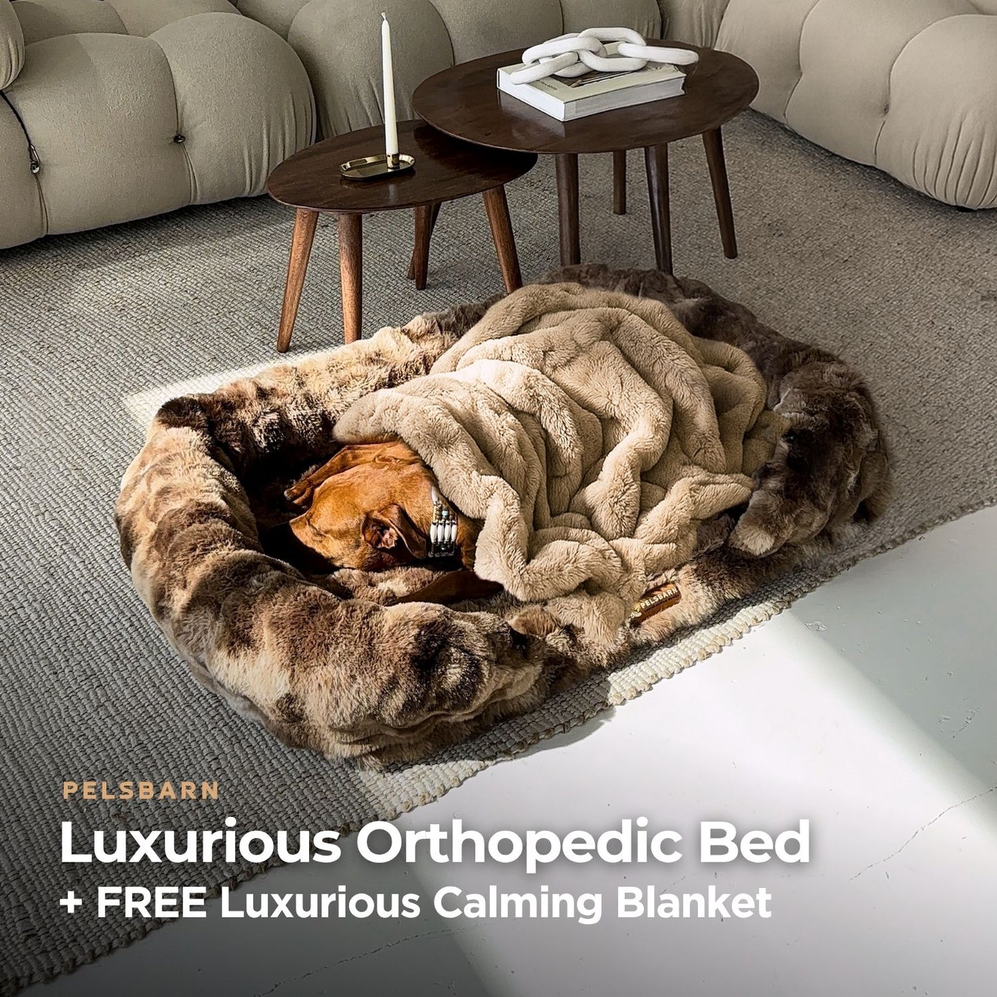 Luxurious Orthopedic Bed + FREE Luxurious Calming Blanket